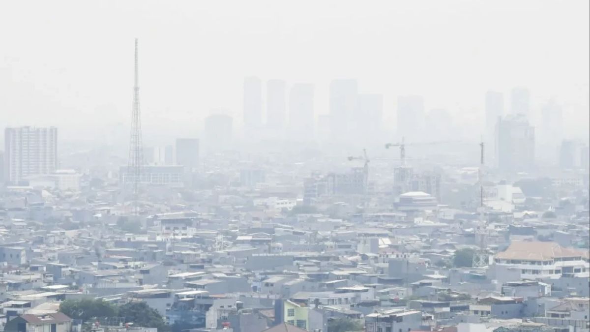 环境和林业部制裁11雅加达空气污染原因产业