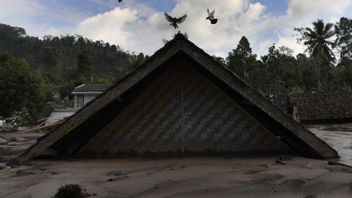小偷在塞梅鲁火山爆发受害者的悲伤中开始行动，6名居民报告被盗