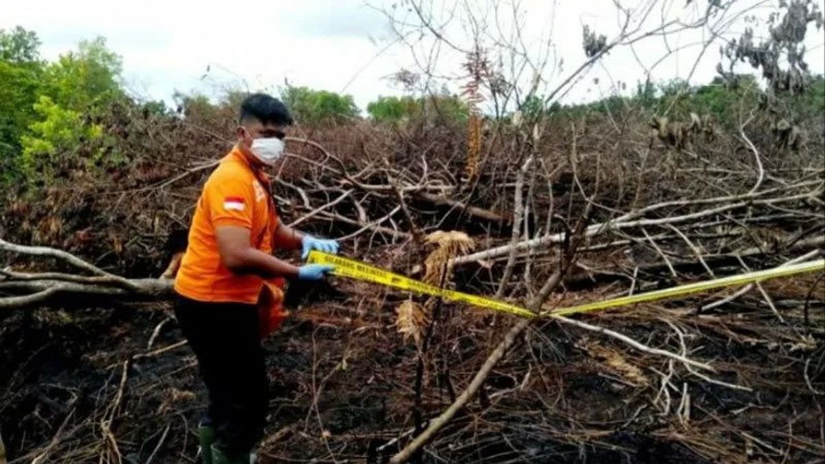 Potential 4-meter Sea Waves And Forest And Land Fires, NTT Residents Are Asked To Be Vigilant