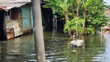 Afin de résoudre le problème des inondations, le législateur du gouvernement provincial de DKI Jakarta a réparé le retard de Sodetan Kali Semongol
