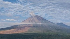 Semeru Erupsi Senin Pagi, Kolom Abu Membumbung 800 Meter