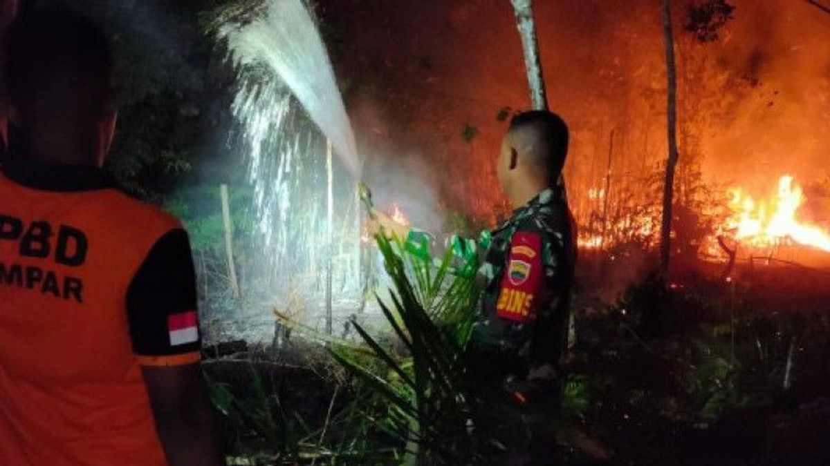 Petugas Gabungan Padamkan Kebakaran Lahan di Kampar