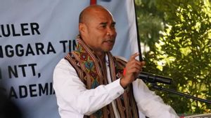  Gubernur NTT Minta Warga Pulau Timor Waspadai Penularan Rabies