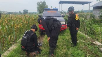 Residents Find Mortars In Sawah, Have Been Holding And Then Cleaned