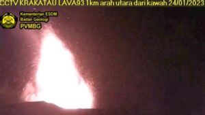 Gunung Anak Krakatau Erupsi Lagi Hari ini, Lontaran Lava Terpantau Bisa Setinggi 350 Meter