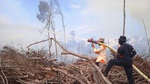 Kebakaran 3 Hektare Lahan Gambut di Nagan Raya Aceh Berhasil Dipadamkan