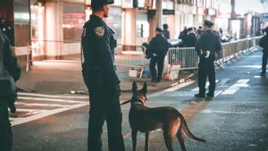 ハイチ移民のデマが猫を食べるために爆弾の脅威に守られた米国オハイオ州の学校