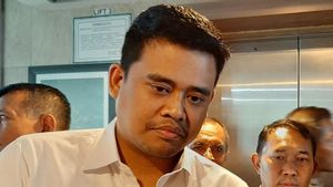 Ketua PDIP Medan Johor Loyalis Akhyar: Mohon Maaf, Bobby Pendatang Baru
