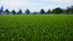 Jenis, Kelebihan dan Kekurangan Rumput Sintetis untuk Taman Outdoor