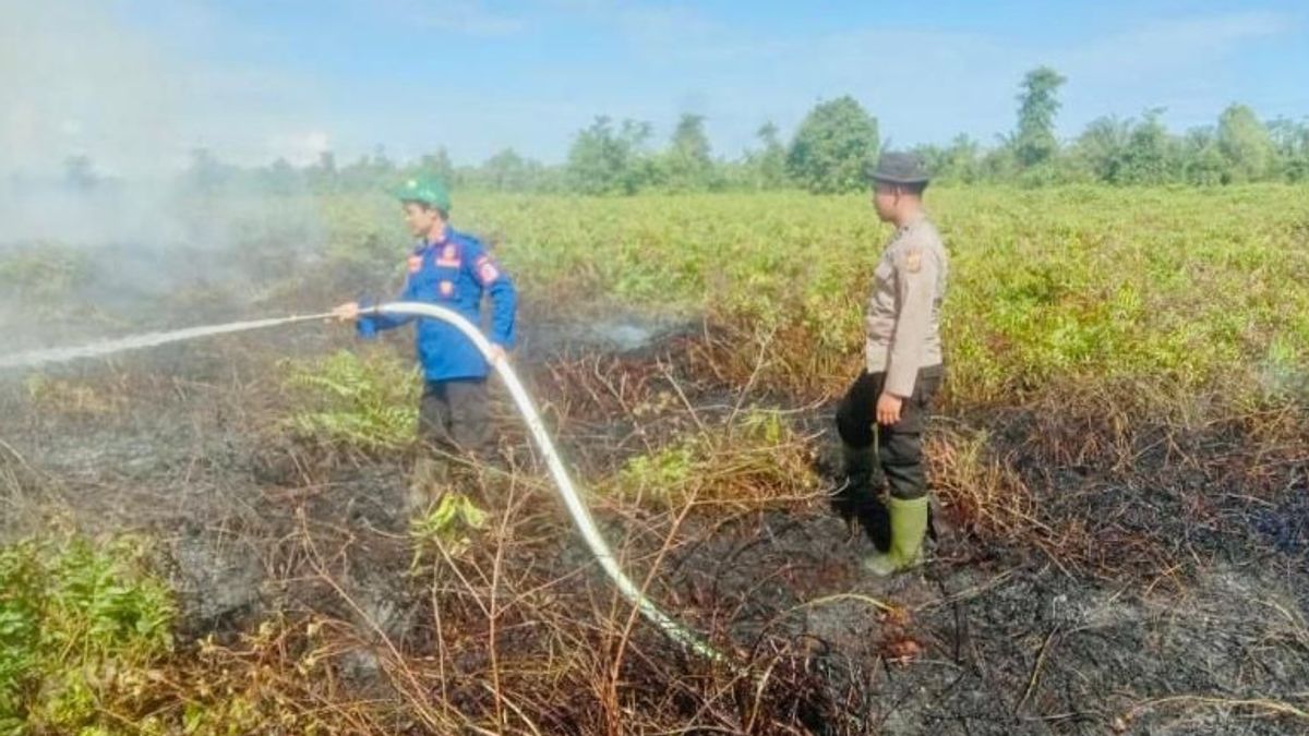 3 Hektare Lahan Gambut di Nagan Raya Aceh Terbakar