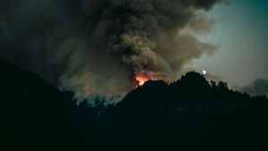 La police portugaise arrête 14 incendies de forêt