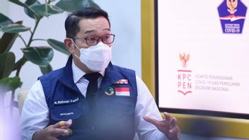Observer Ridwan Kamil's Questions That Police Have Not Clarified About Rizieq Shihab's Crowd