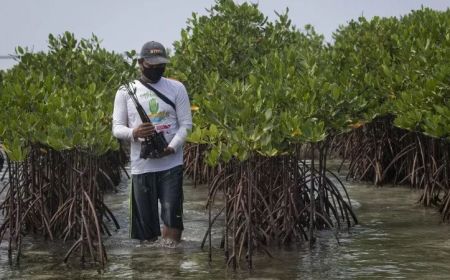 DPRD Riau Telusuri Perusahaan Diduga Jual Beli Lahan Mangrove di Meranti