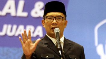 Ridwan Kamil: O Central Government, Rice Imports Will Threaten Farmers' Welfare