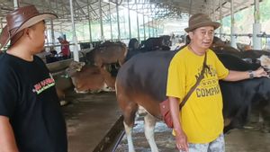 Pedagang Musiman Hewan Kurban Pilih Jualan di Kawasan Perbatasan Bekasi – Bogor, Ini Sebabnya