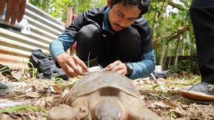 TSE Group dan IPB University Jalin Konservasi Spesies Endemik Papua