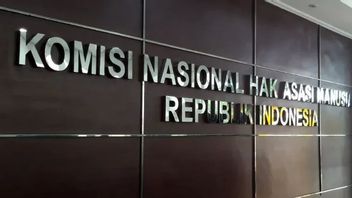 Komnas HAM Minta Kasus Prajurit TNI Mutilasi Warga Mimika Diusut Tuntas