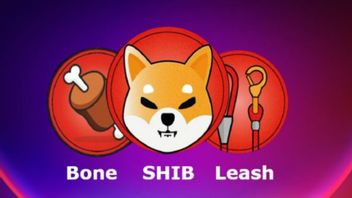 Shiba Inu Community Asks For Binance Listing Token BONE