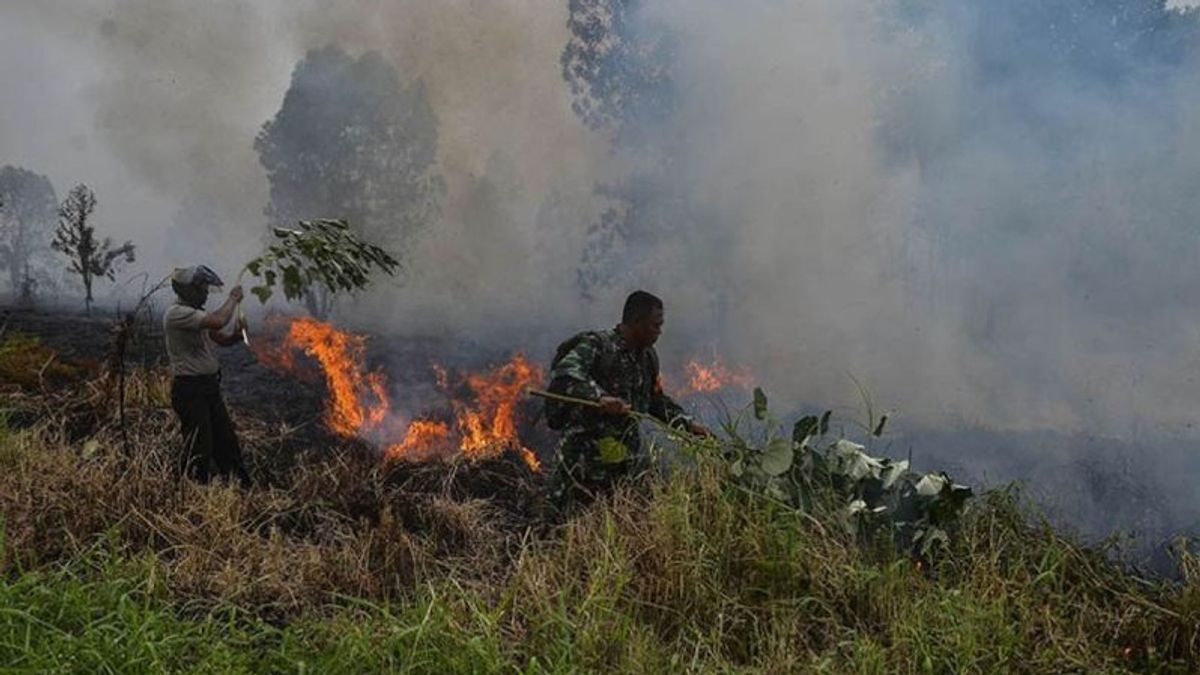 رياو تحدد حالة تأهب طارئة لحرائق الغابات والأراضي