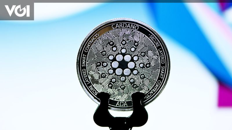 Wow! Cardano Holder Increases By 1600 Percent