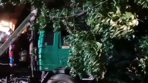 As A Result Of Following Google Maps, Tronton Driver Hits Big Tree In Pulogadung