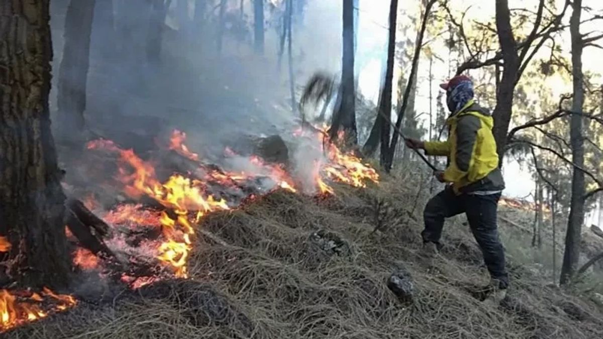 Tanam Match Season, West Bangka Regency Government Warning Its Residents Don't Open Land By Fire