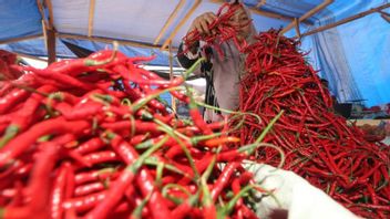 棉兰市副市长指示农业办公室向居民分发辣椒种子以抑制通货膨胀