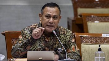 KPK Pastikan Pemberian Penghargaan ke Istri Firli Bahuri Sesuai Mekanisme