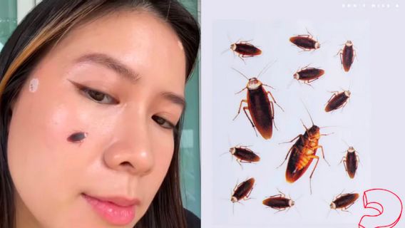 病毒式粘贴疮 病毒式粘贴疮,敢于尝试吗?