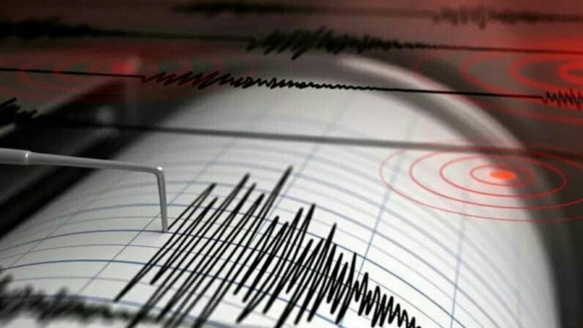  Malang Earthquake Shock Felt Strong, BNPB Checks Damage Impact
