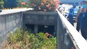 Mayat Tanpa Identitas di Pinggir Tol Jagorawi KM7 Belum Diautopsi, Polisi Tunggu Pihak Keluarga