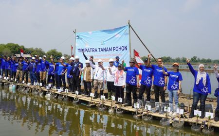 TRIPATRA Tanam 50.000 Pohon untuk Mendukung Upaya Pencegahan Perubahan Iklim