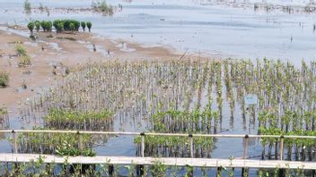 Begini Cara Cermati Fintech Group Dukung Ekonomi Hijau