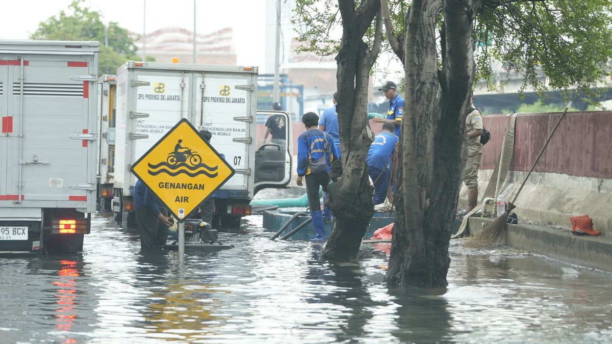 18 RT di Jakut dan Kepulauan Seribu Masih Terendam Banjir Rob Sore Ini 