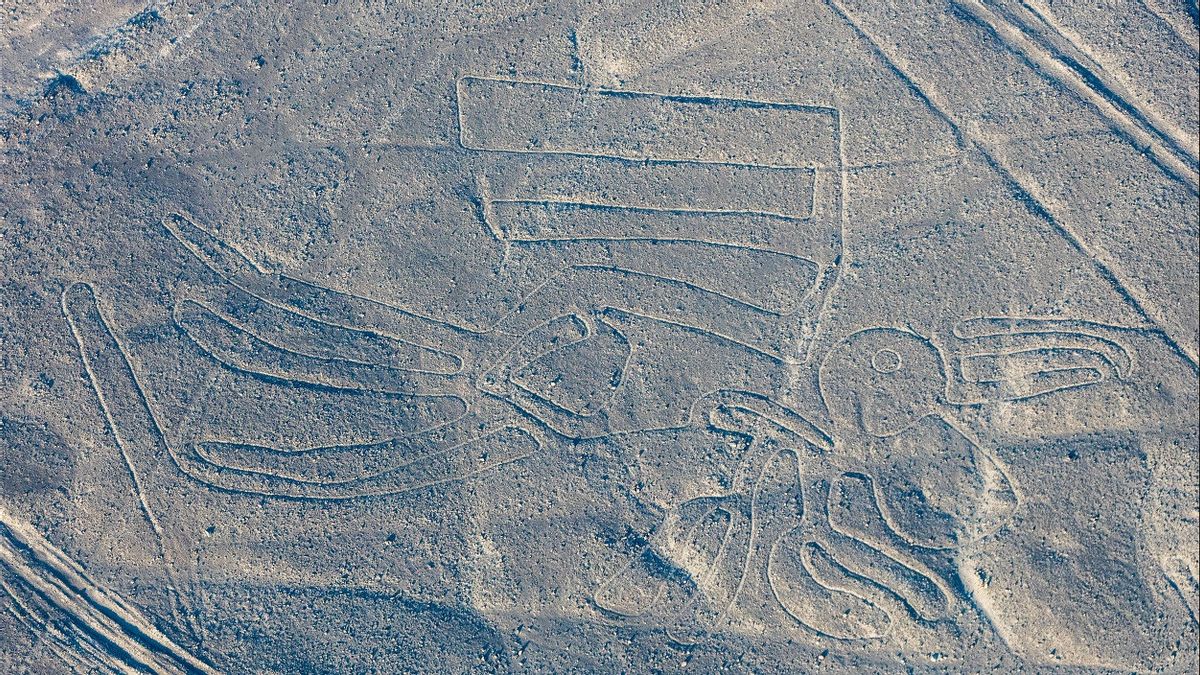 Peru Authority To Restore Nazca Lines Protected Area