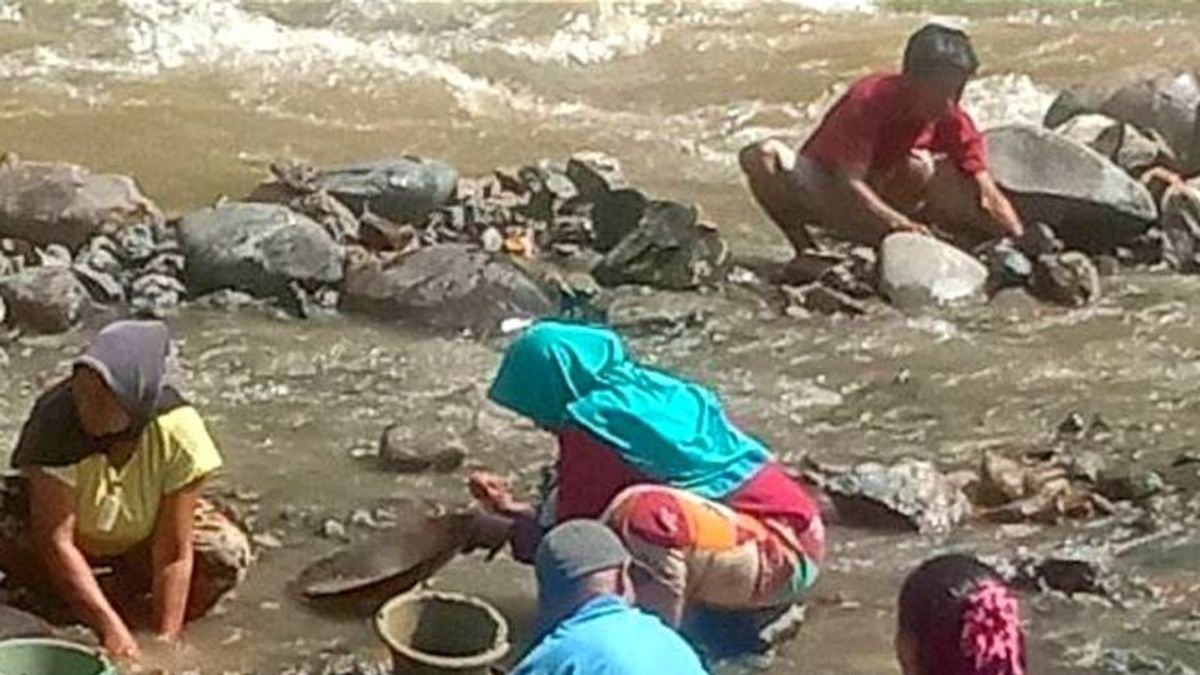 Cari Emas di Sungai; Aktivitas Warga Ujan Mas Sambil Menunggu Panen Kopi