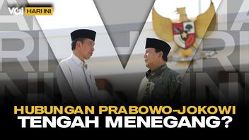 VOI Hari Ini: Siapa Pihak yang Ingin Pisahkan Jokowi dan Prabowo?