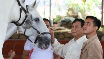 Gerindra Sebut Putusan MKMK Tak akan Mengubah Apapun, Gibran Tetap Cawapresnya Prabowo