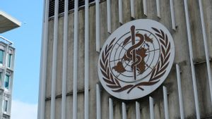 WHO Ungkap Militer Israel Serang Kediaman Staf dan Gudang Utamanya di Gaza