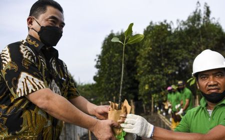 IPB Siapkan Kajian Pembangunan Pelabuhan Ramah Lingkungan di Marunda Jakarta Utara