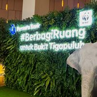 Dibintangi Chicco Jerikho, Permata Bank dan WWF Ajak Lindungi Gajah Sumatera lewat Dokumenter