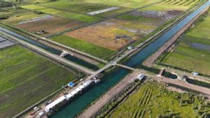 Deputy Minister Of Public Works Reviewing The Irrigation Of Food Estate Land In Central Kalimantan, Admits There Are Still Inundated Rice Fields