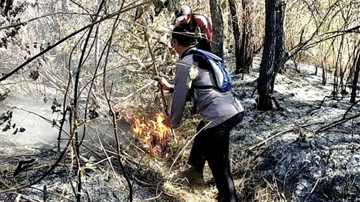 警察は違法狩活動によるアルジュノ山火災と呼んでいる
