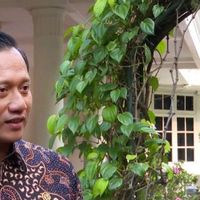 Menko AHY Dorong Penerapan Green Corridor