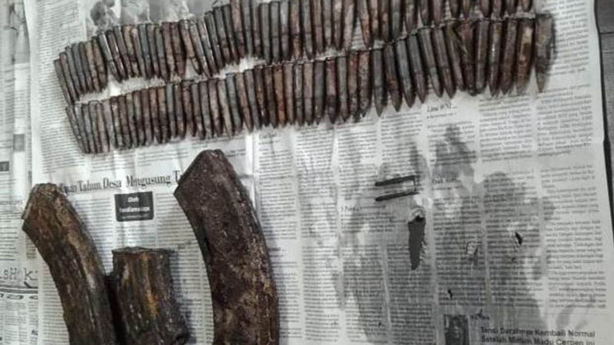 سكان كوبانغ العثور على بندقية هجومية AK-47 كاملة مع 96 رصاصة أثناء الصيد، والشرطة تتدخل للتحقيق