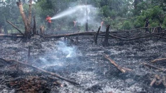 rants et incendies de forêt dans l'ouest d'Aceh couvrent jusqu'à 7,5 hectares