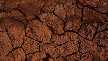 13 points de déplacement de la terre à Bantul, BPBD fait des prévisions, demande aux habitants d'être vigilants