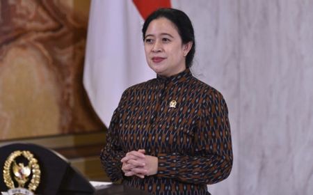 Bagi Puan Maharani, Satgas Perlindungan Data Harus Selesaikan Data Bocor Secara Menyeluruh