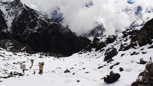 Otoritas Nepal Berencana Naikkan Biaya Izin Pendakian Gunung Everest