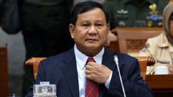 Not Yet Thinking About The DKI Pilkada, Gerindra Is Still Focusing On Prabowo's Candidacy In The 2024 Presidential Election
